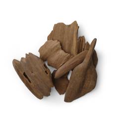 موروكي الشيخ