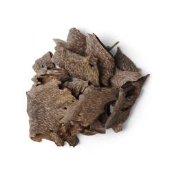 قواقع الشيخ