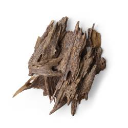 زوايا الشيخ